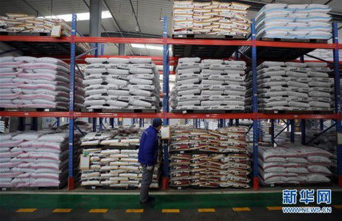 沈陽 加緊復工生產 保障飼料和畜牧產品供應