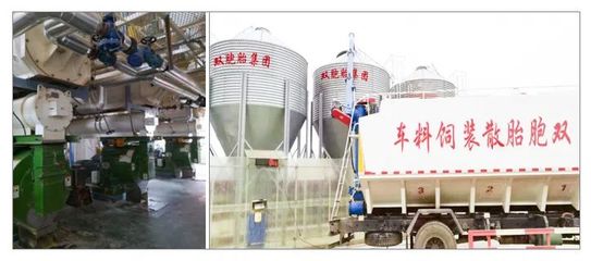 雙胞胎“公司+農(nóng)戶”有什么優(yōu)勢?合作要求有哪些?